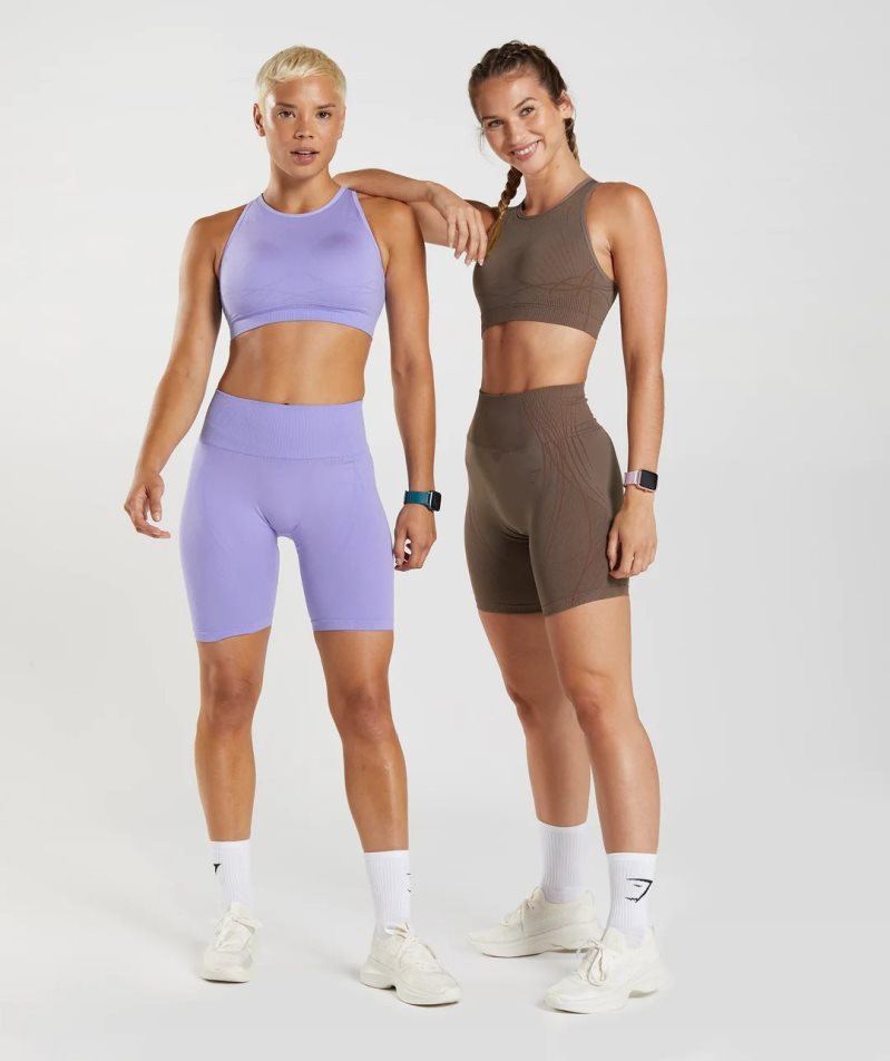 Women's Gymshark Apex Seamless Shorts Purple | CA 8A7D35